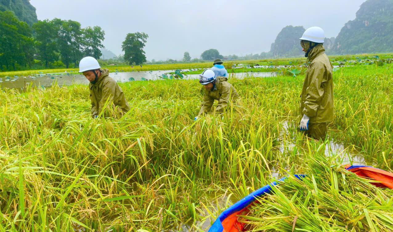 Với tinh thần vì nhân dân phục vụ, Công an huyện Mỹ Đức đã phối hợp với chính quyền địa phương và các lực lượng gia cố đê điều ngăn lũ, giúp các gia đình chính sách, neo đơn, bằng mọi biện pháp, kịp thời di chuyển nhiều tài sản và đẩy nhanh việc thu hoạch lúa chín, hoa màu, sát cánh cùng nhân dân vượt lũ.