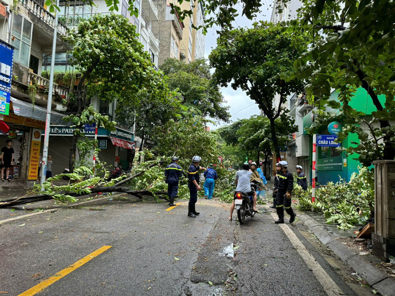 Nhiều cây đổ trên địa bàn TP Hà Nội được lực lượng PCCC&amp;CNCH di chuyển.