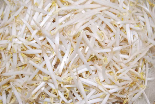 Giá luộc lấy nước uống chữa khàn giọng