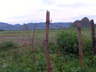 KCN Xi măng Sài Gòn - Tân Kỳ vẫn là một bãi đất hoang . Ảnh: Quang Long KCN Xi măng Sài Gòn - Tân Kỳ vẫn là một bãi đất hoang