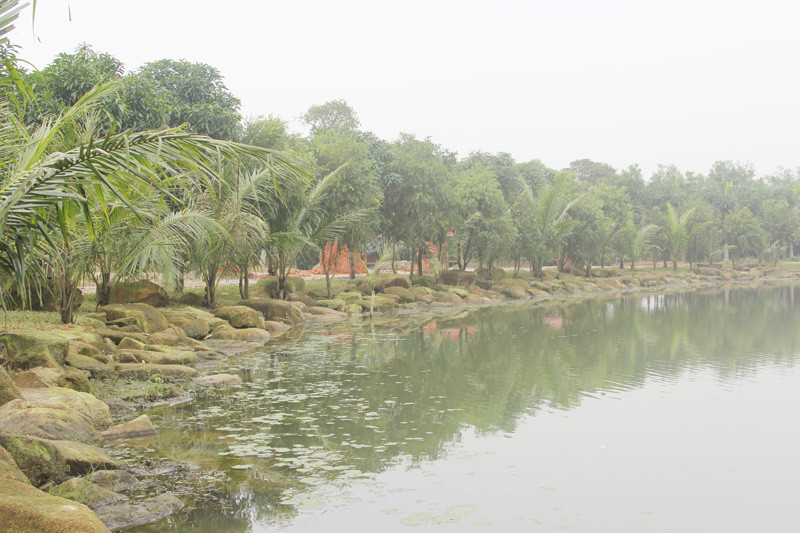 Khu sinh thái của ông Phúc