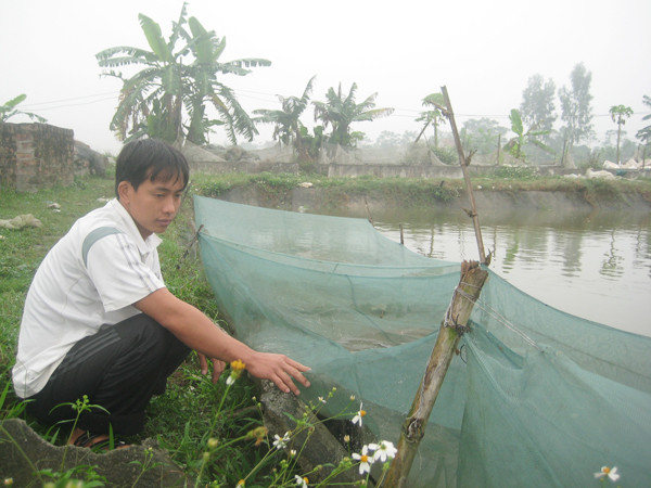 Anh Đạo bên ao nuôi ếch. Ảnh: D.N. Anh Đạo bên ao nuôi ếch. Ảnh: D.N
