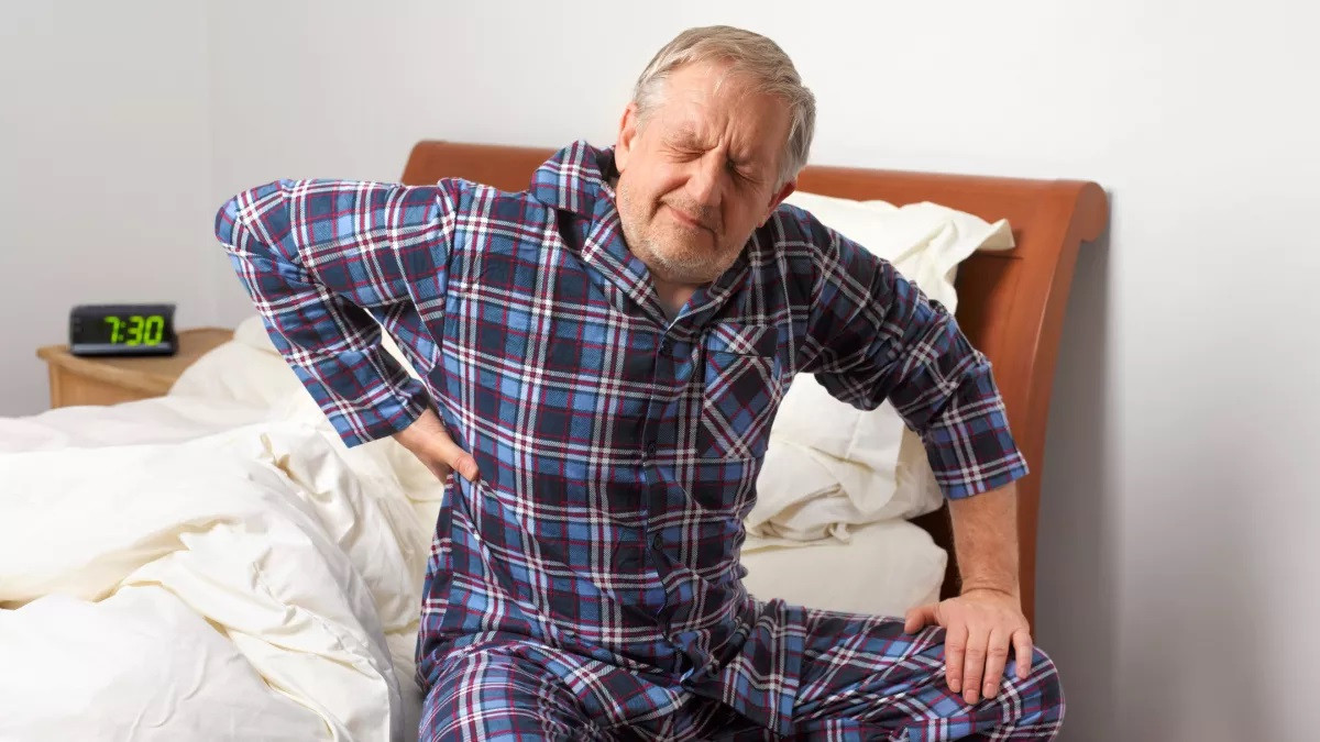 Đau lưng cực kỳ phổ biến ở loài người do tiến hóa để đi bằng hai chân.