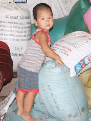 Cháu Mã Văn Hà, hai năm trước đây cũng bị bệnh mở khoá đầu. Cháu Mã Văn Hà, hai năm trước đây cũng bị bệnh mở khoá đầu