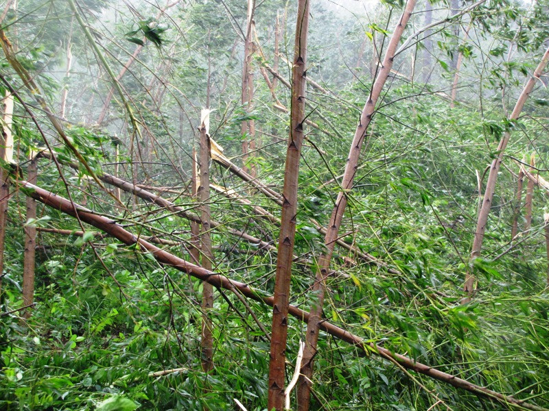 Đường dân sinh Lộc Trì – Lộc Bình đang thi công bị ngập trong triều cường