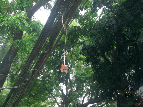 Cả hòn gạch cũng được treo lủng lẳng trên đầu