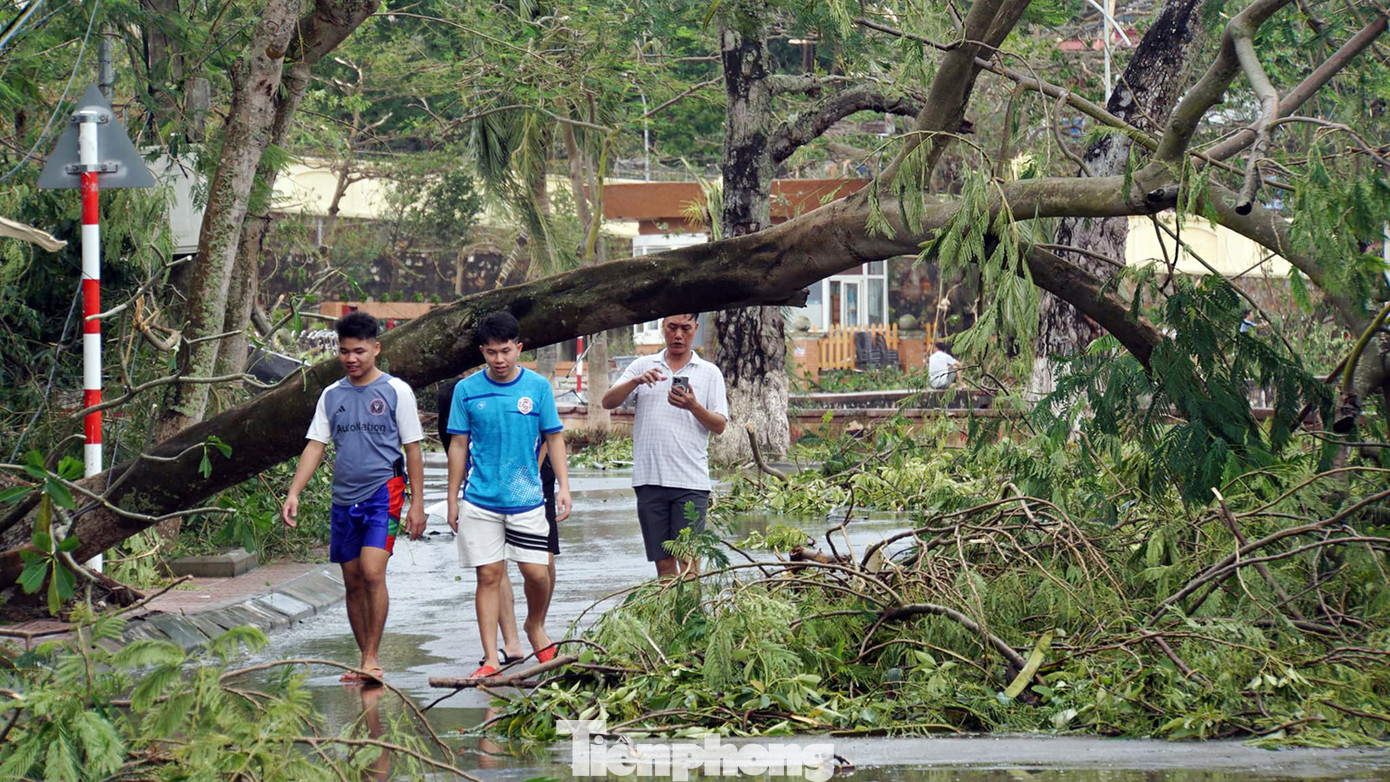 Người dân tại quận Đồ Sơn bàng hoàng trước sức tàn phá của bão số 3. Người dân tại quận Đồ Sơn bàng hoàng trước sức tàn phá của bão số 3.