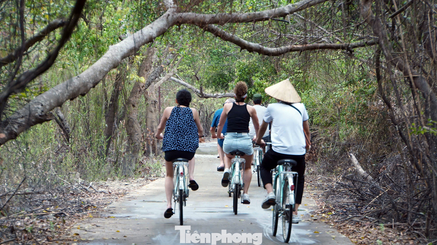 Quãng đường xuyên làng chài cổ Việt Hải dài khoảng 6-7km, du khách đạp xe đạp sẽ được trải nghiệm qua các cung đường rừng nguyên sinh, khe núi đá vôi hoang sơ.