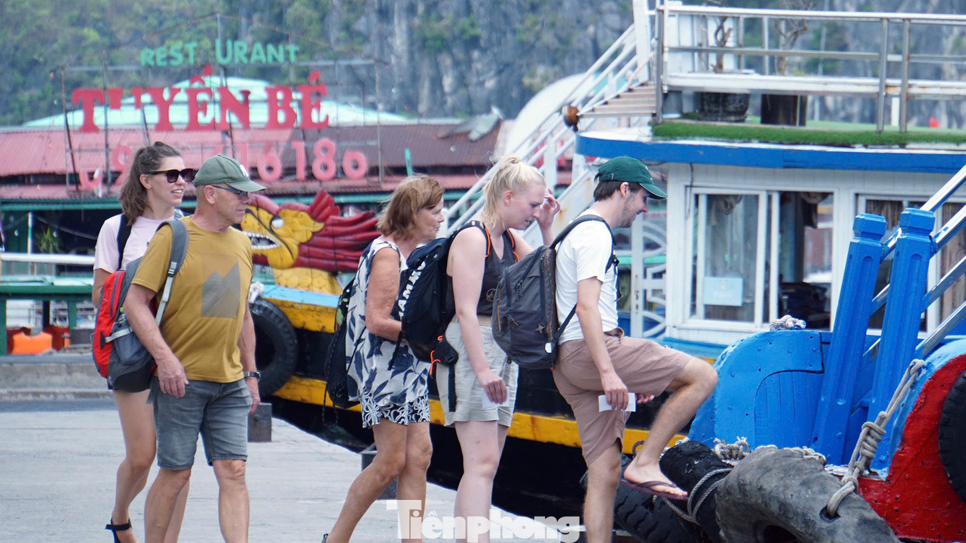 Anh Hải (lái tàu du lịch ở Cát Bà) cho biết, khách Tây họ thích sự hoang sơ, yên tĩnh, không khí trong lành và thời tiết dịu dàng của mùa Thu hoặc se lạnh của mùa Đông. Trái ngược với khách du lịch nội địa thích tắm biển vào mùa hè, do đó thời điểm này là mùa cao điểm du lịch nghỉ dưỡng Thu - Đông tại Cát Bà.