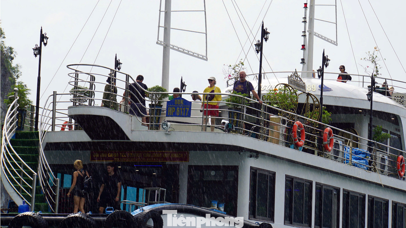 Trong đó, nhiều khách du lịch nước ngoài có điều kiện sẽ chọn dịch vụ tham quan, lưu trú qua đêm trên du thuyền quanh các vịnh ở Cát Bà. Đây là loại hình dịch vụ cao cấp, được kiểm soát chặt chẽ nhất.