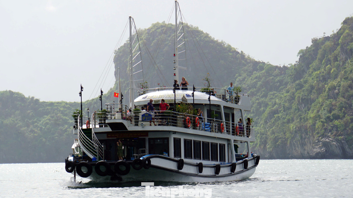 Theo anh Hải, một số dịch vụ hút khách Tây như: Tham quan, ngắm vịnh trên quần đảo Cát Bà trong ngày; tham quan nghỉ dưỡng qua đêm trên vịnh; trekking xuyên rừng Vườn quốc gia; tham quan trải nghiệm trên làng chài cổ Việt Hải...