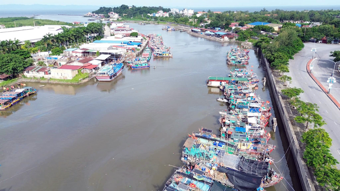 Chiều 6/9, các cấp chính quyền TP Hải Phòng đã khẩn trương, gấp rút hoàn thiện phương án phòng chống cơn bão số 3 tại tất cả quận huyện trên địa bàn. Trong đó, hơn 1.700 tàu thuyền được hướng dẫn về nơi neo đậu an toàn tại quận Đồ Sơn, huyện Bạch Long Vĩ và Cát Hải.