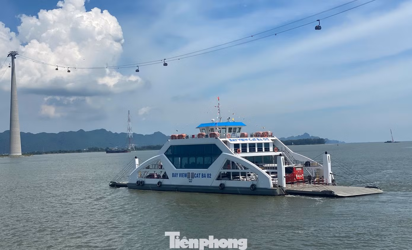 Hải Phòng chuẩn bị phương án cấm biển, tạm dừng hoạt động vận tải đường thủy khi bão đổ bộ.