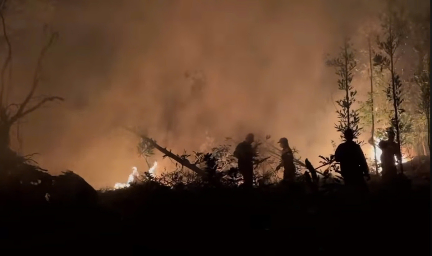 Lực lượng chức năng ngăn chặn cháy lan khu vực núi Đá Vách, huyện Thủy Nguyên, thành phố Hải Phòng tối 8/11.