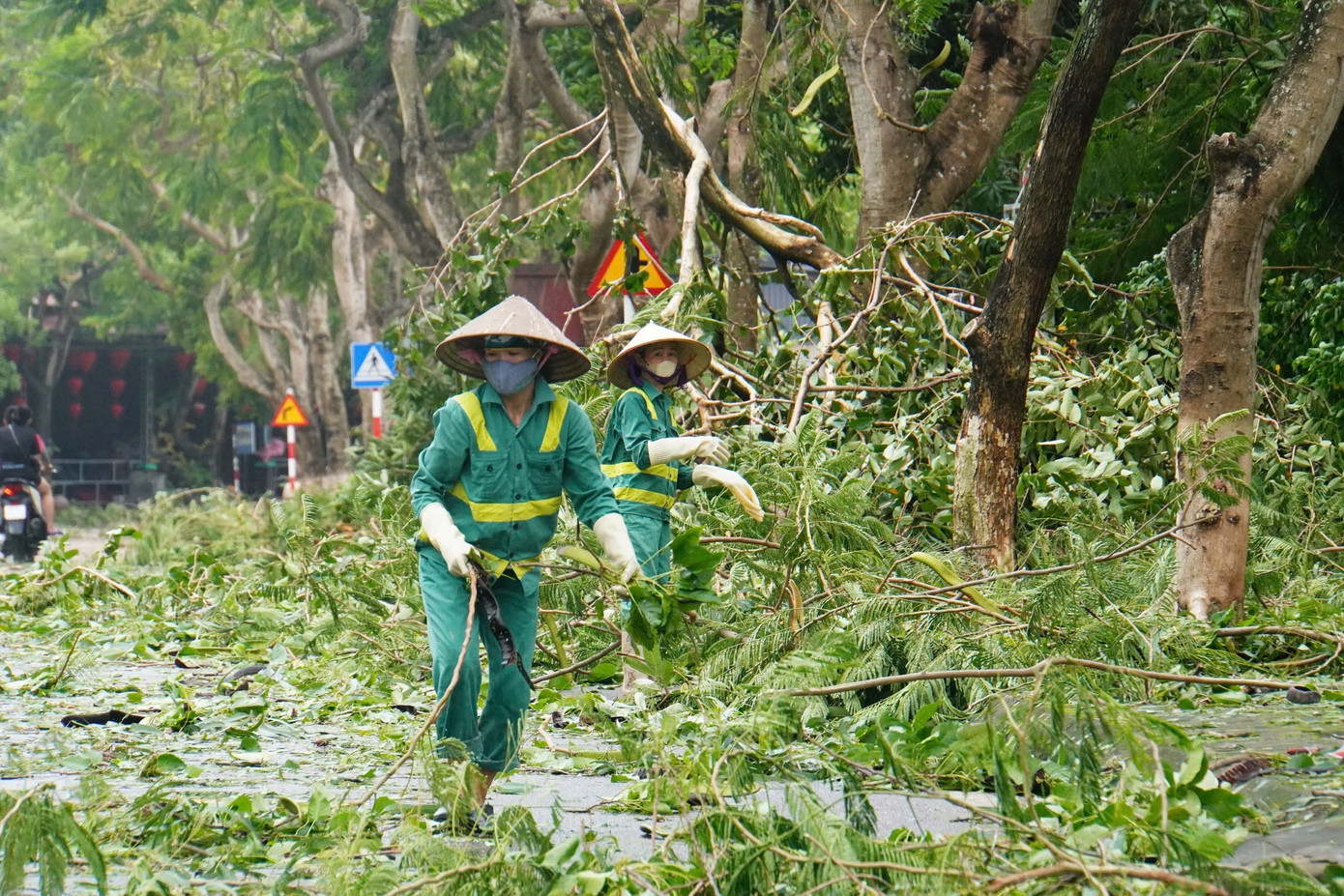 Công nhân môi trường dọn dẹp cây xanh đổ gãy sau bão số 3. Công nhân môi trường dọn dẹp cây xanh đổ gãy sau bão số 3.