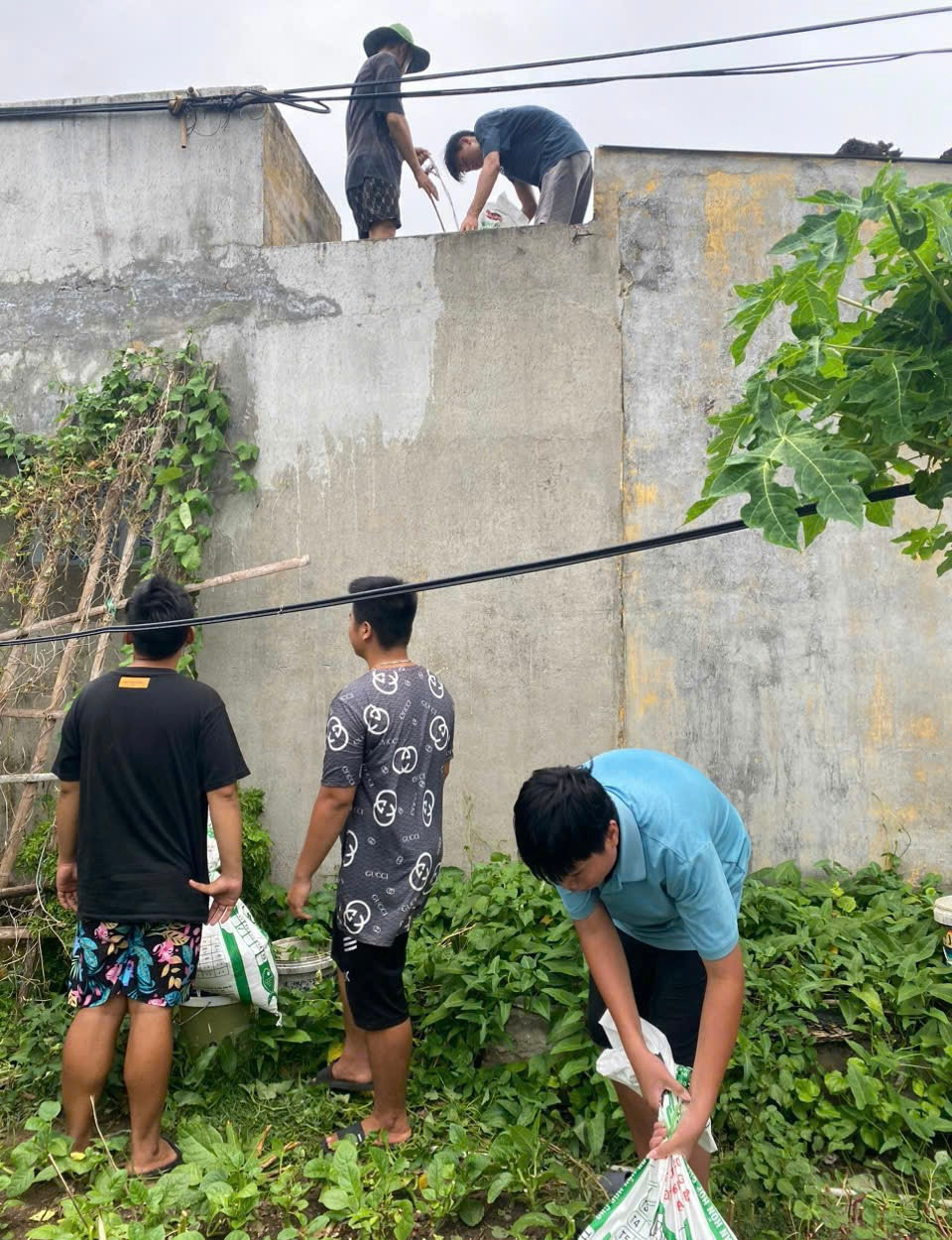 Người dân trên đảo Bạch Long Vĩ gia cố mái nhà.