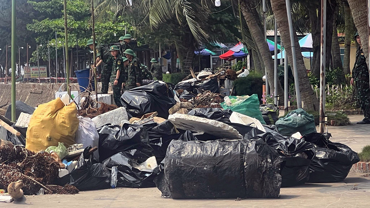 Cũng theo ông Tuấn, những ngày qua, các đơn vị đã thu gom được 900 tấn rong và rác (chủ yếu bèo tây) bị sóng đánh dạt vào các bãi tắm, bờ biển.