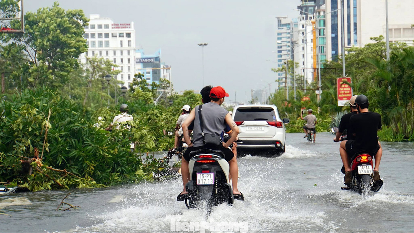 Ghi nhận trên phố Lạch Tray, trục đường trung tâm vào thành phố nhiều điểm ngập. Cây xanh hai bên đường bật gốc chắn ngang đường.