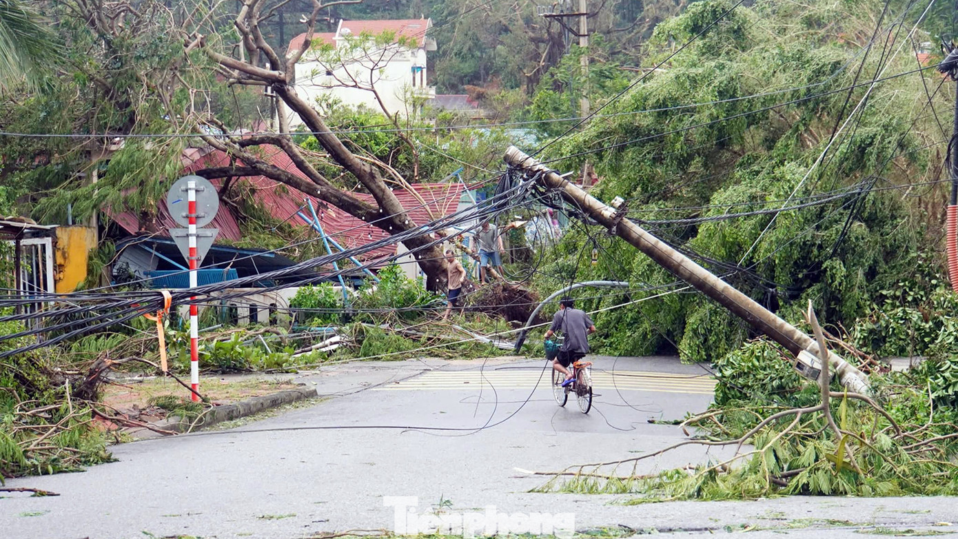 Hệ thống cột điện, dây thông tin bị bão quật đổ khắp nơi, chắn trước nhà dân và các tuyến đường dân sinh. Hệ thống cột điện, dây thông tin bị bão quật đổ khắp nơi, chắn trước nhà dân và các tuyến đường dân sinh.