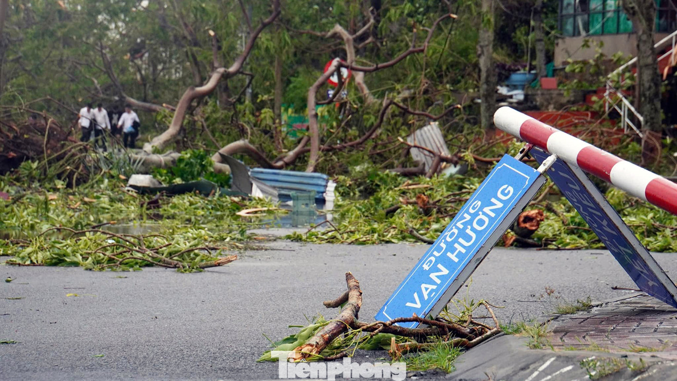 Dọc phố Vạn Hương - Yết Kiêu (quận Đồ Sơn), hệ thống biển báo, cây xanh đổ chắn kín đường. Dọc phố Vạn Hương - Yết Kiêu (quận Đồ Sơn), hệ thống biển báo, cây xanh đổ chắn kín đường.