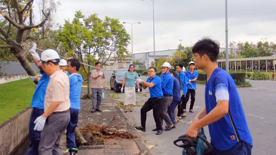 Đoàn thanh niên Khu Kinh tế Hải Phòng hỗ trợ các doanh nghiệp trồng lại cây xanh, tham gia khắc phục hậu quả sau bão. Đoàn thanh niên Khu Kinh tế Hải Phòng hỗ trợ các doanh nghiệp trồng lại cây xanh, tham gia khắc phục hậu quả sau bão.