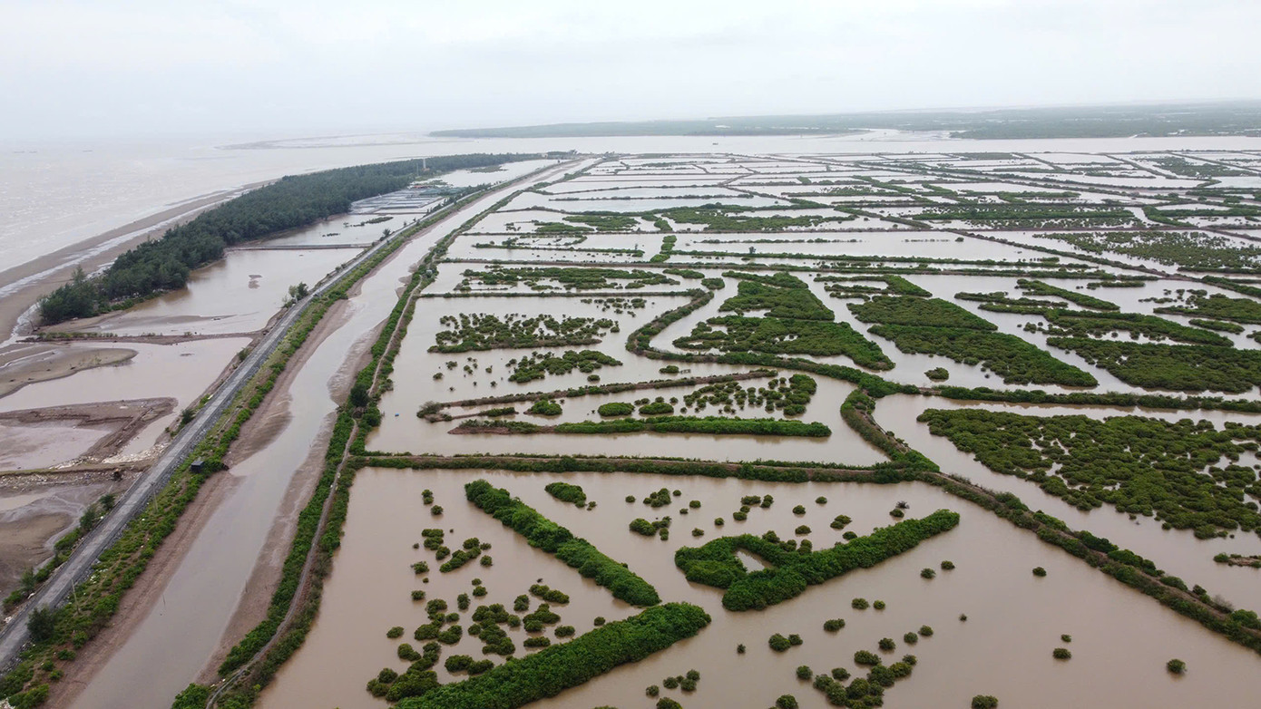 Sáng 23/8, UBND tỉnh Thái Bình tổ chức hội nghị công bố quyết định xác lập vị trí, ranh giới và diện tích Khu bảo tồn thiên nhiên đất ngập nước Tiền Hải (khu bảo tồn). Theo quyết định 1357 ngày 20/8/2024 của UBND tỉnh Thái Bình, khu bảo tồn giữ nguyên diện tích 12.500ha, được xác định nằm ở vùng ngoài đê số 5, số 6 huyện Tiền Hải.