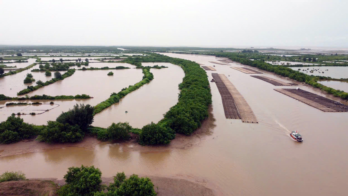 "Từ các tiềm năng, lợi thế của khu bảo tồn, tỉnh Thái Bình quyết tâm khắc phục khó khăn, hạn chế, tận dụng những cơ hội phát triển mới có tính đột phá để xây dựng Thái Bình trở thành địa phương phát triển trong khu vực, tập trung bảo tồn đa dạng sinh học, kết hợp hài hòa bảo tồn thiên nhiên với phát triển kinh tế xã hội theo nguyên tắc bảo tồn và phát triển bền vững...", ông Lại Văn Hoàn nói.