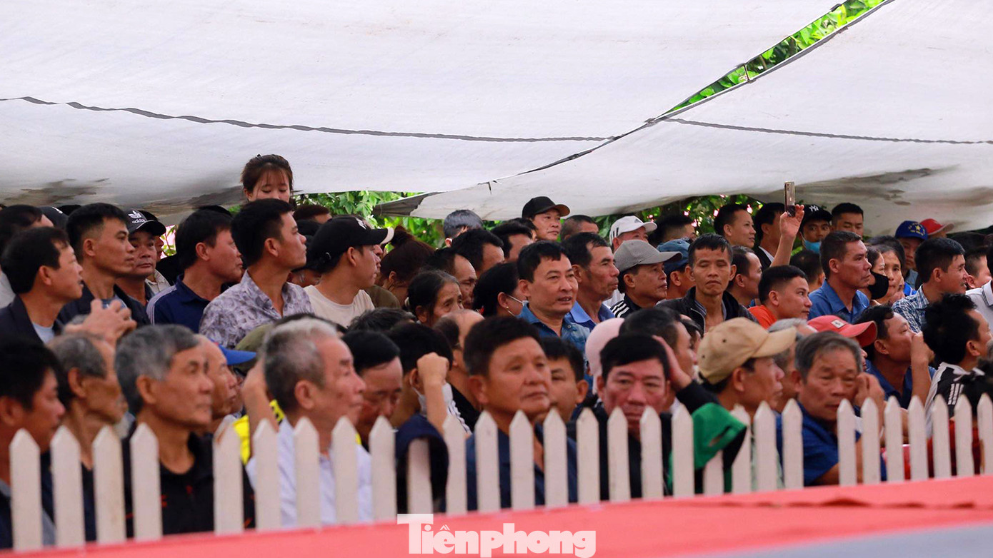 Hàng nghìn người dân, du khách thập phương tới xem, cổ vũ màn đấu vật, tranh "Đô lực sỹ". Hàng nghìn người dân, du khách thập phương tới xem, cổ vũ màn đấu vật, tranh "Đô lực sỹ".