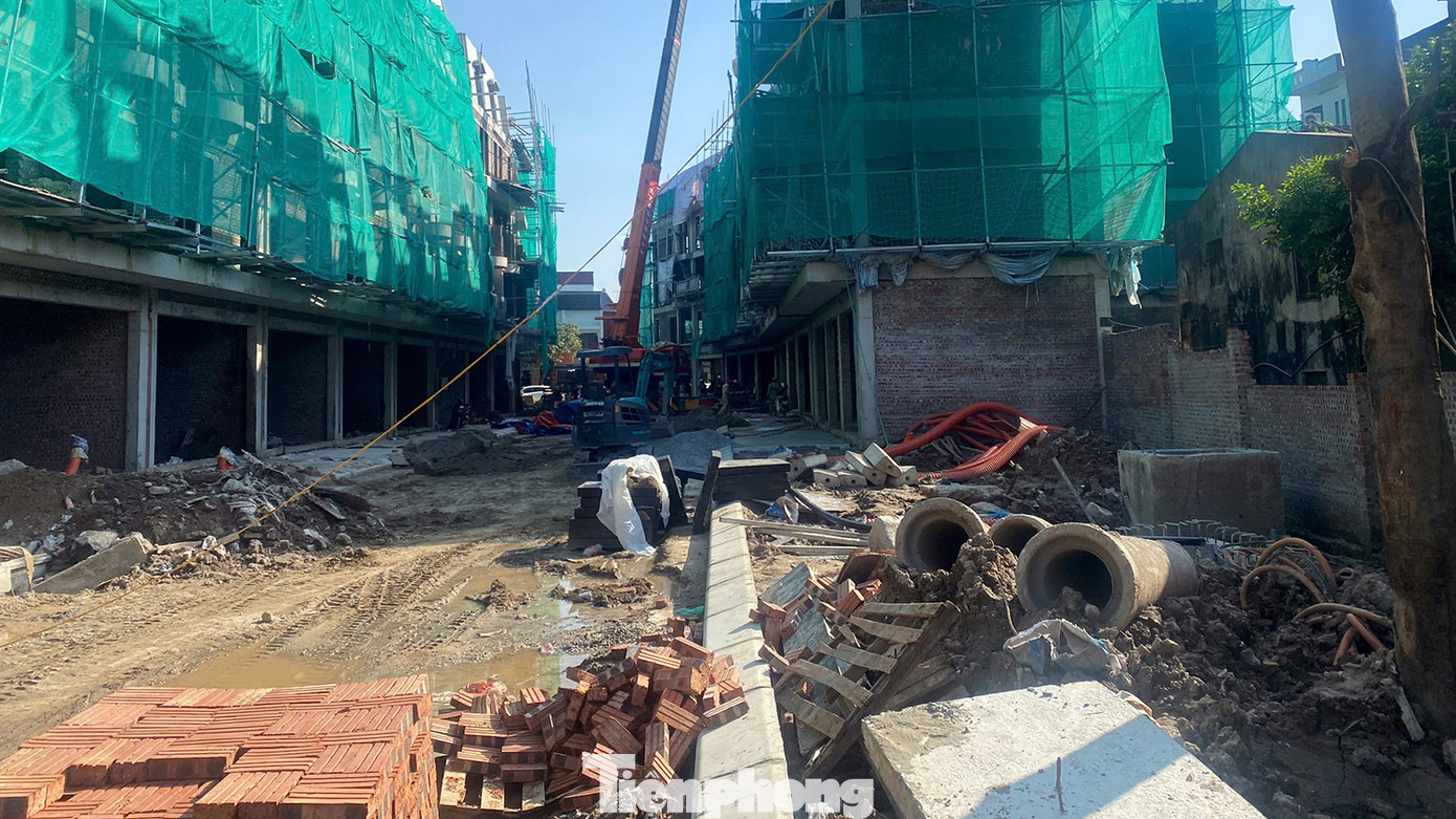 Đường nội bộ và khu vực trồng cây xanh bên trong dự án được cấp phép.