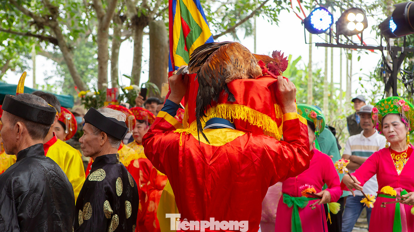 Linh kê (gà trống lông vàng, chân vàng) được dân làng chuẩn bị từ trước, rước ra trước đài thề. Linh kê (gà trống lông vàng, chân vàng) được dân làng chuẩn bị từ trước, rước ra trước đài thề.