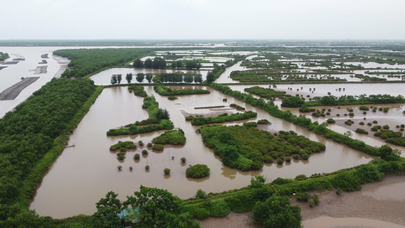 Tỉnh Thái Bình xác lập vị trí, ranh giới, diện tích khu bảo tồn kết hợp hài hòa mục tiêu bảo tồn và phát triển theo hướng bảo tồn hệ sinh thái vùng đất ngập nước, bảo tồn loài - sinh cảnh, bảo vệ nguồn lợi thủy sản, đặc biệt bảo vệ khu vực di trú của các loài chim nước.