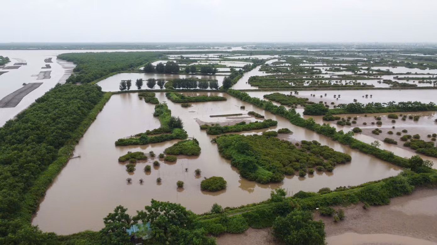 Tỉnh Thái Bình xác lập vị trí, ranh giới, diện tích khu bảo tồn kết hợp hài hòa mục tiêu bảo tồn và phát triển theo hướng bảo tồn hệ sinh thái vùng đất ngập nước, bảo tồn loài - sinh cảnh, bảo vệ nguồn lợi thủy sản, đặc biệt bảo vệ khu vực di trú của các loài chim nước.