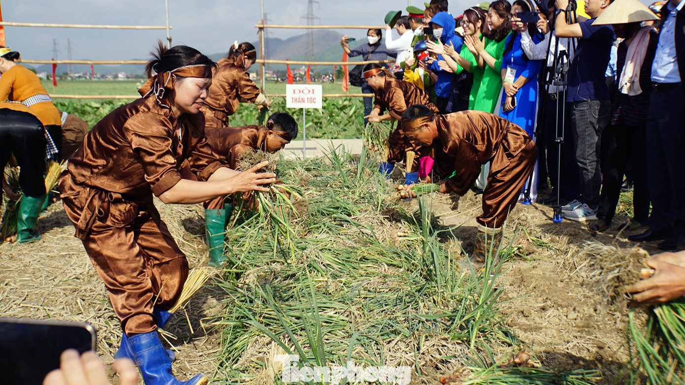 Đây là lần đầu tiên Lễ hội thu hoạch hành, tỏi được tổ chức với kỳ vọng mang đến cho người dân, du khách những trải nghiệm thú vị và cổ vũ, động viên, ghi nhận sự đóng góp của ngành sản xuất nông nghiệp địa phương và khu vực.