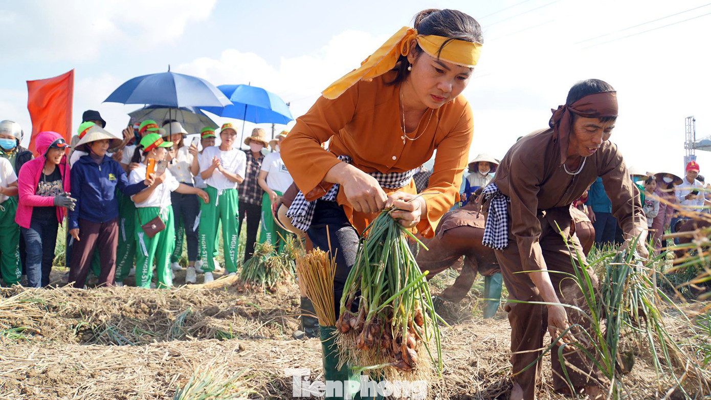 Đồng thời, giới thiệu quảng bá, tôn vinh hình ảnh, sản phẩm, khẳng định giá trị, nguồn gốc, xuất xứ và thương hiệu hành tỏi Hải Dương nói chung và Kinh Môn nói riêng.