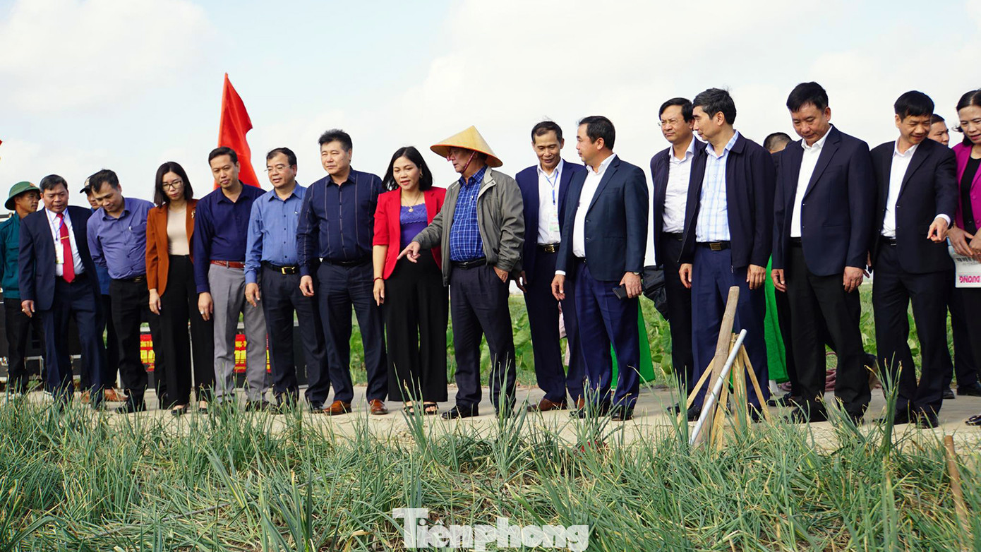 Ngày 20/1, tỉnh Hải Dương tổ chức Lễ hội thu hoạch hành, tỏi tại khu đồng Cầu Yên, xã Hiệp Hòa (thị xã Kinh Môn). Dự lễ hội có ông Lê Minh Hoan - Bộ trưởng NN&amp;PTNT, ông Trần Đức Thắng - Bí thư Tỉnh ủy Hải Dương... cùng hàng trăm người dân trồng hành, tỏi tại địa phương.