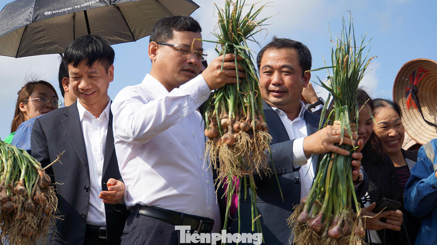 Ban tổ chức chấm điểm cho các đội tham gia thi đấu.