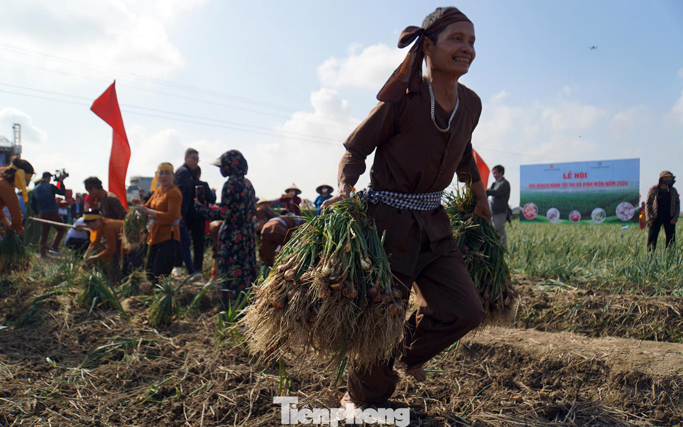 Các thành viên tham gia cuộc thi đều vui vẻ, phấn khởi thực hiện thành thục các khâu nhổ, bó, vận chuyển hành dưới sự cổ vũ nhiệt tình của hàng trăm người dân, du khách.
