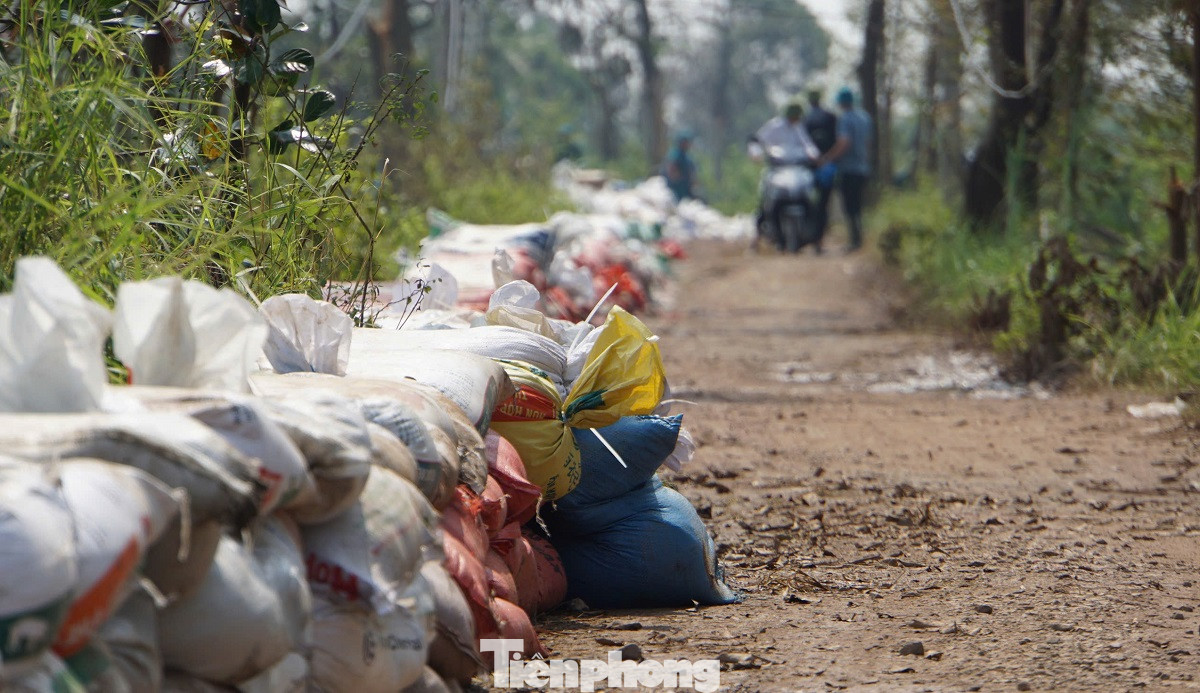 Đại diện lãnh đạo xã Đại Bản (huyện An Dương, TP Hải Phòng) cho biết, dọc địa bàn xã có 15km đê, gồm hơn 7km đê bối và 7km đê cấp quốc gia. Khu vực đê bối bao quanh hàng trăm hộ dân với hàng nghìn nhân khẩu, cùng nhiều hoa màu của nông dân. Khu vực đê tại địa phương là trọng điểm ngập lụt, do đó, lực lượng liên ngành tập trung nhân lực vật lực đắp đê ngăn lũ, ứng trực 24/24.