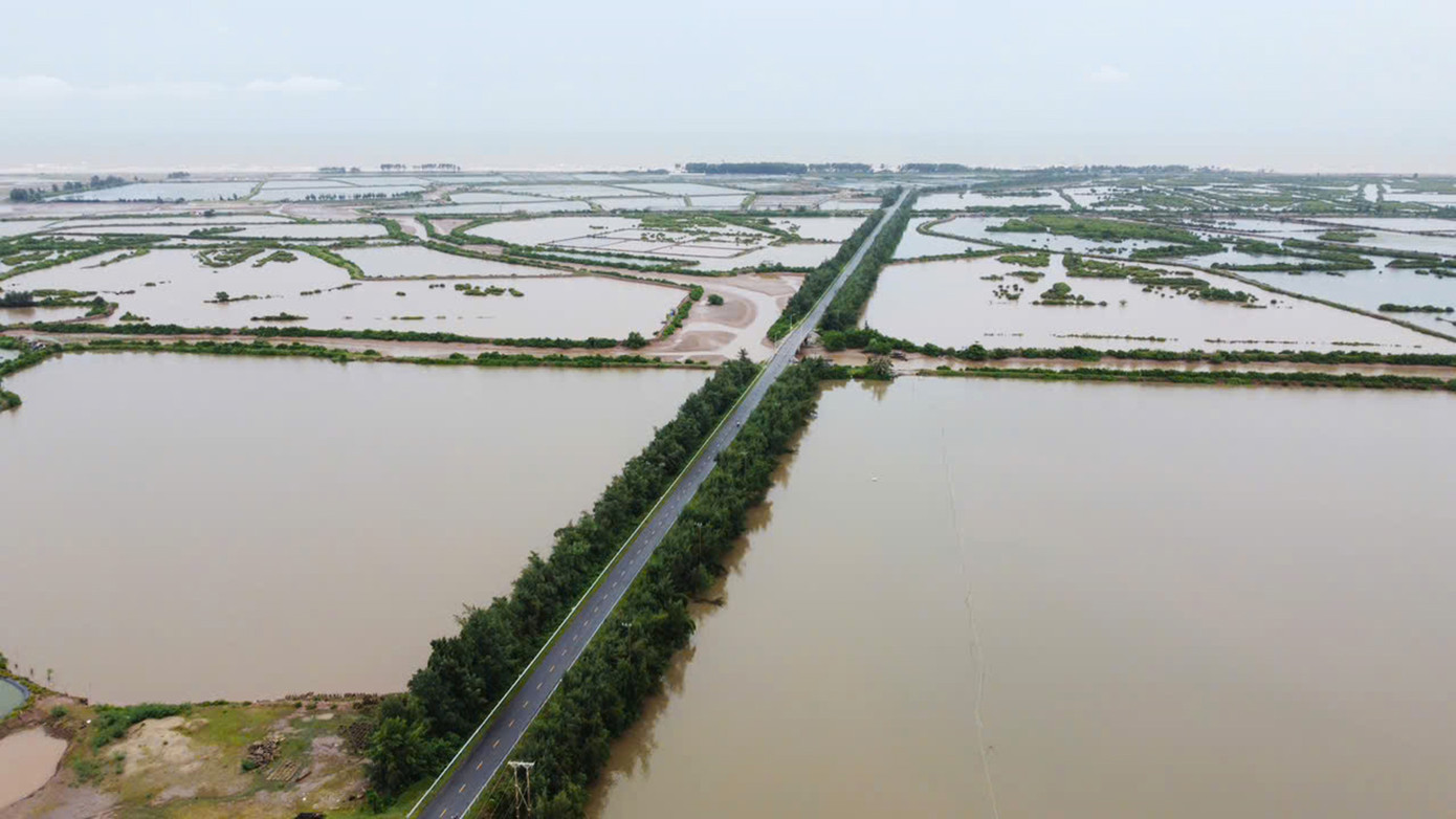 Phân khu nuôi trồng thủy sản xen kẽ rừng ngập mặn thuộc địa phận xã Nam Phú (huyện Tiền Hải, tỉnh Thái Bình).