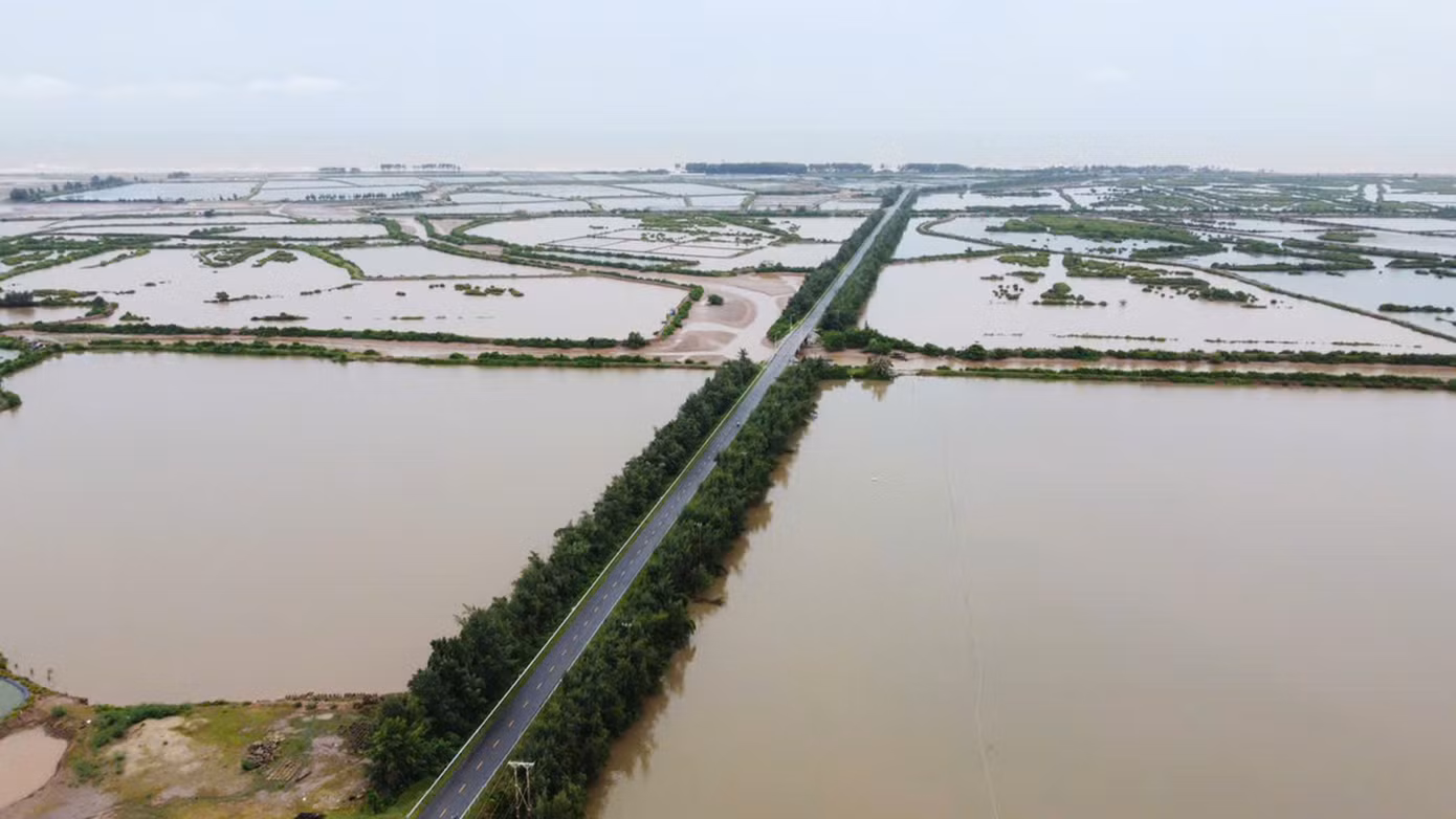Phân khu nuôi trồng thủy sản xen kẽ rừng ngập mặn thuộc địa phận xã Nam Phú (huyện Tiền Hải, tỉnh Thái Bình).
