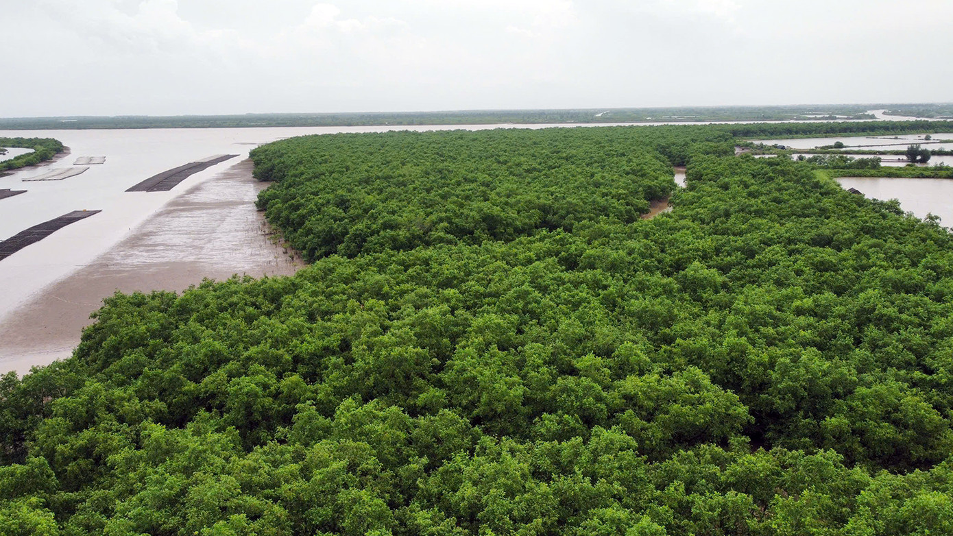 Trong đó, phân khu bảo vệ nghiêm ngặt rộng 2.726ha, phân khu phục hồi sinh thái 9.774ha, vùng đệm 3.446ha. Khu bảo tồn có mục tiêu bảo vệ sinh thái vùng đất ngập nước ven biển Thái Bình, bảo tồn loài - sinh cảnh, nguồn lợi thủy sản, đặc biệt khu vực lưu trú của các loài chim nước...