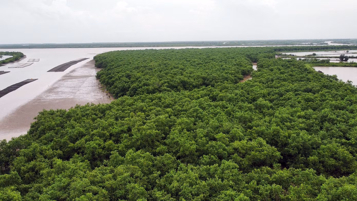 Trong đó, phân khu bảo vệ nghiêm ngặt rộng 2.726ha, phân khu phục hồi sinh thái 9.774ha, vùng đệm 3.446ha. Khu bảo tồn có mục tiêu bảo vệ sinh thái vùng đất ngập nước ven biển Thái Bình, bảo tồn loài - sinh cảnh, nguồn lợi thủy sản, đặc biệt khu vực lưu trú của các loài chim nước...