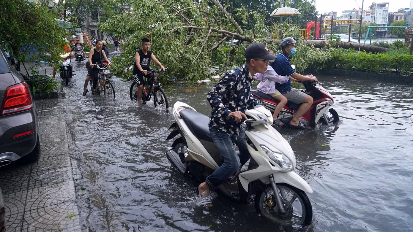 Khu vực phố Chùa Hàng mưa ngập, cây xanh đổ la liệt chắn lối đi khiến người dân di chuyển khó khăn.