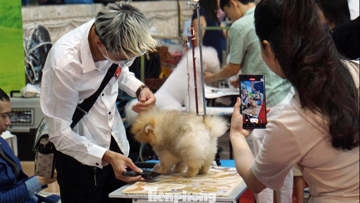 Nhiều người yêu cún cưng và các bạn trẻ tỏ ra thích thú với phần tạo hình, làm đẹp cho chó.