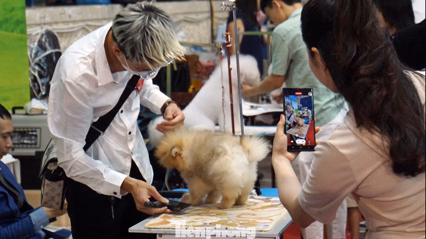 Nhiều người yêu cún cưng và các bạn trẻ tỏ ra thích thú với phần tạo hình, làm đẹp cho chó.
