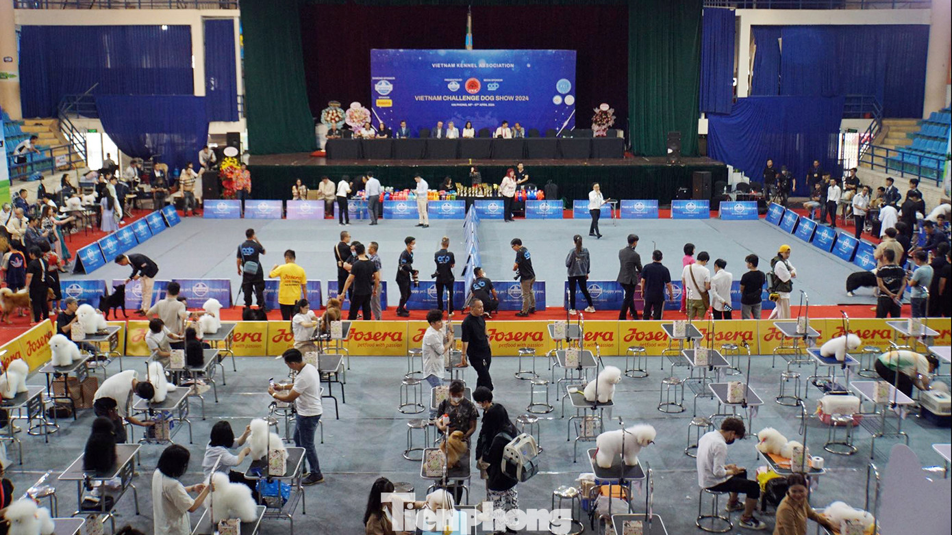 Toàn cảnh hội thi chó đẹp được tổ chức tại Cung Văn hóa Thể thao Thanh niên Hải Phòng. Ảnh: Nguyễn Hoàn