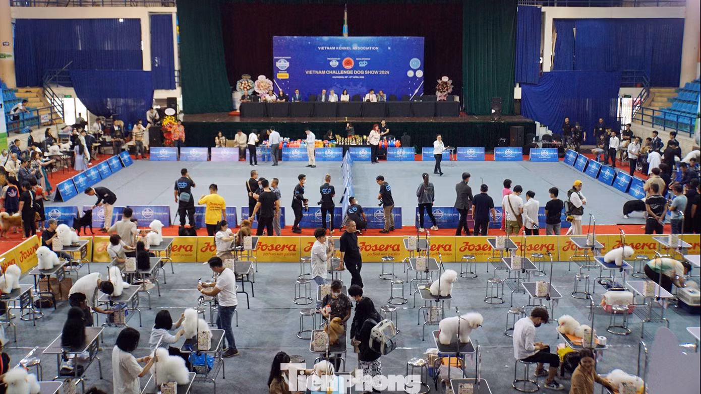 Toàn cảnh hội thi chó đẹp được tổ chức tại Cung Văn hóa Thể thao Thanh niên Hải Phòng. Ảnh: Nguyễn Hoàn