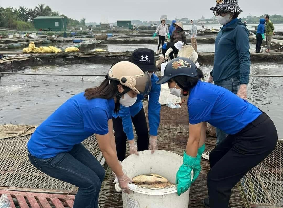 Đoàn viên thanh niên, người dân hỗ trợ nông dân vớt cá, đem tiêu hủy. Đoàn viên thanh niên, người dân hỗ trợ nông dân vớt cá, đem tiêu hủy.