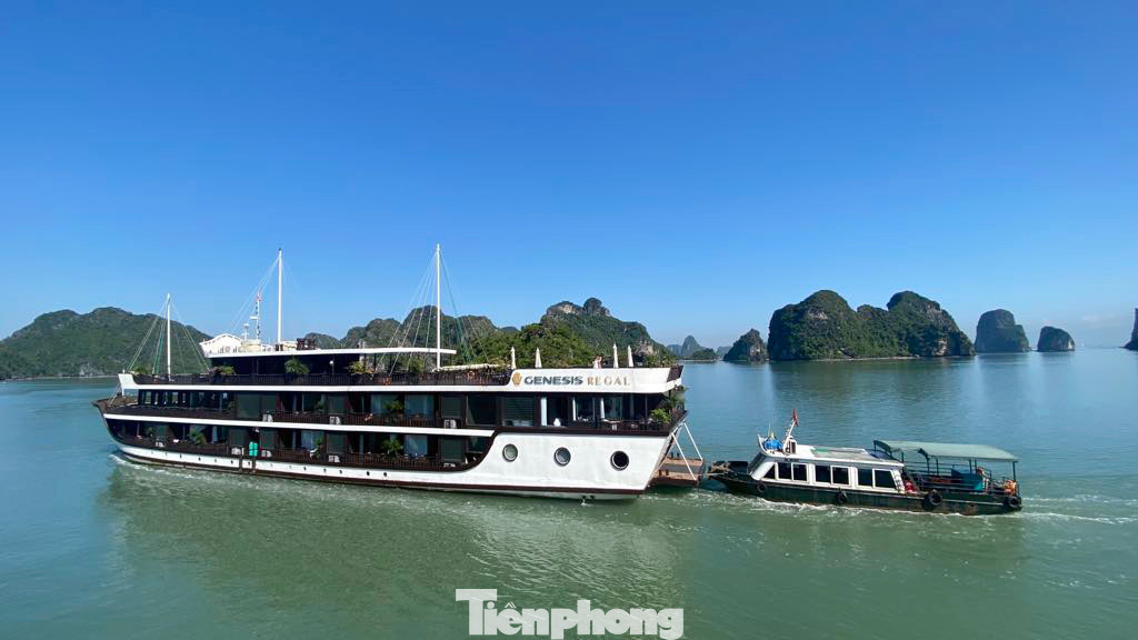 Du thuyền chở khách nước ngoài tham quan, ngủ trên vịnh Lan Hạ, TP Hải Phòng.