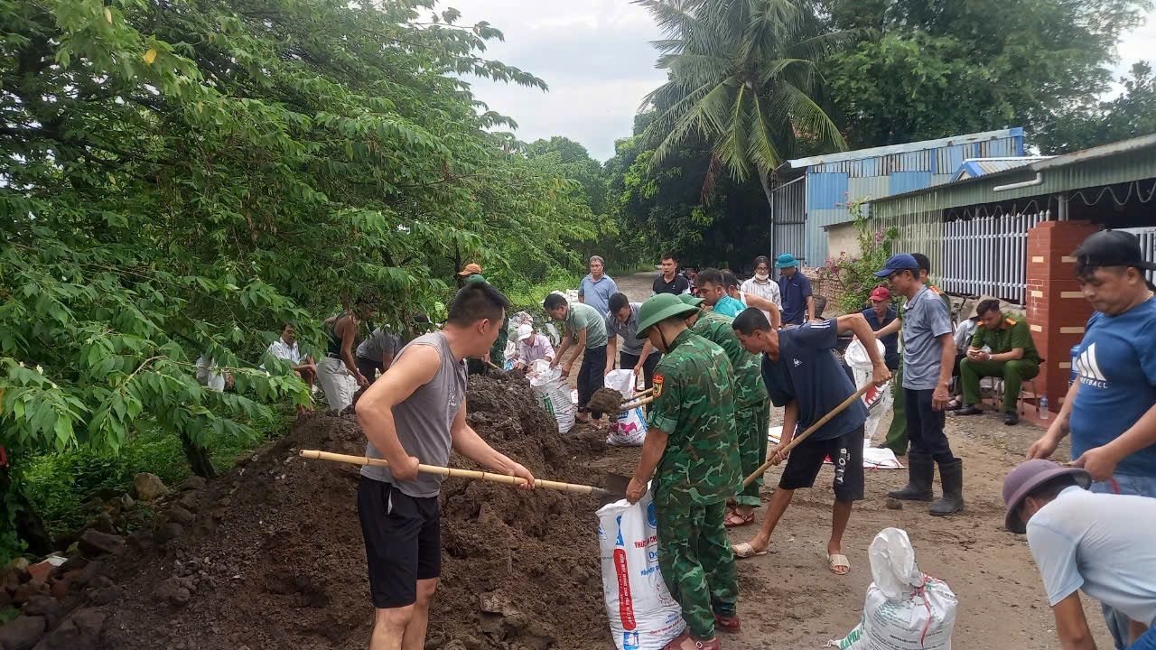 Lực lượng bộ đội biên phòng huyện Cát Hải tổ chức đóng bao tải đất, cát hỗ trợ người dân gia cố nhà cửa, che chắn các khu vực xung yếu.